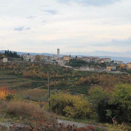 La Grande Casa Valpolicella Bed & Breakfast SantʼAmbrogio di Valpolicella Eksteriør bilde